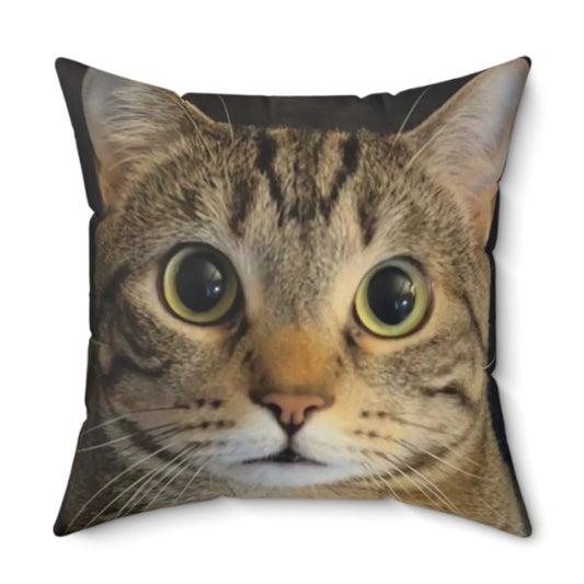 Axle "BLAWG" 2-Sided Pillow - Axle The Kitty