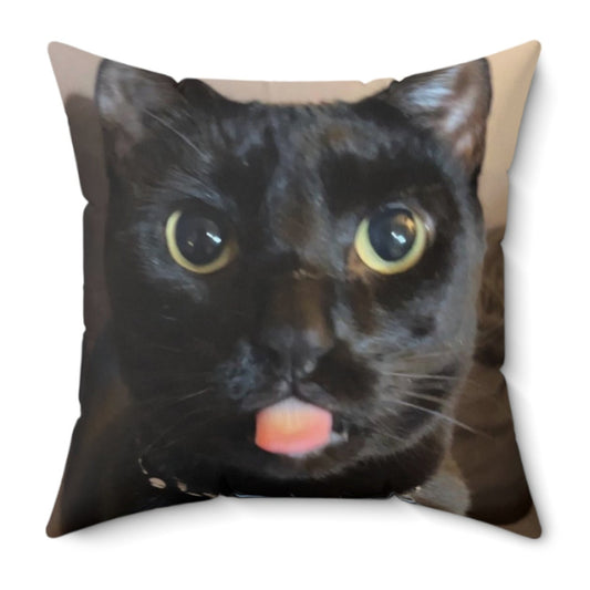 Axle "SMAWG" 2-Sided Pillow - Axle The Kitty