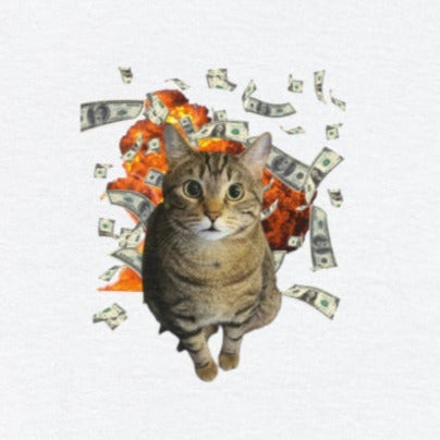 Axle "Tax Evasion" Tee Shirt - Axle The Kitty